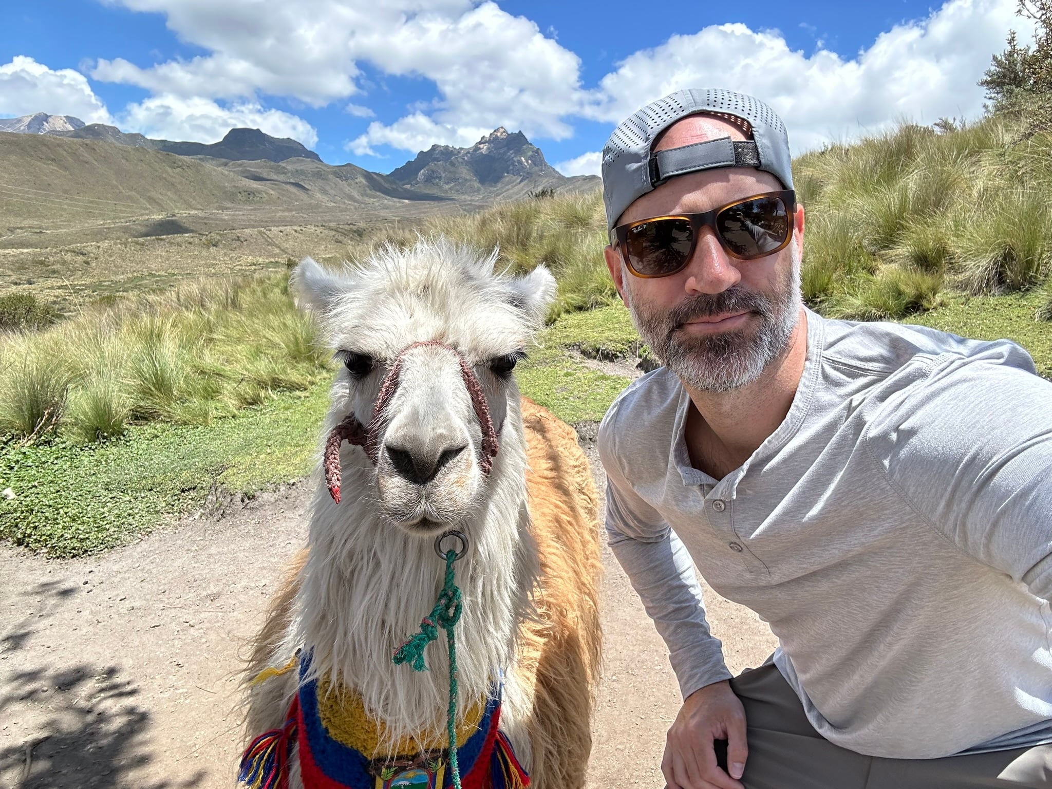 A roadside stop with a llama in the Andean highlands