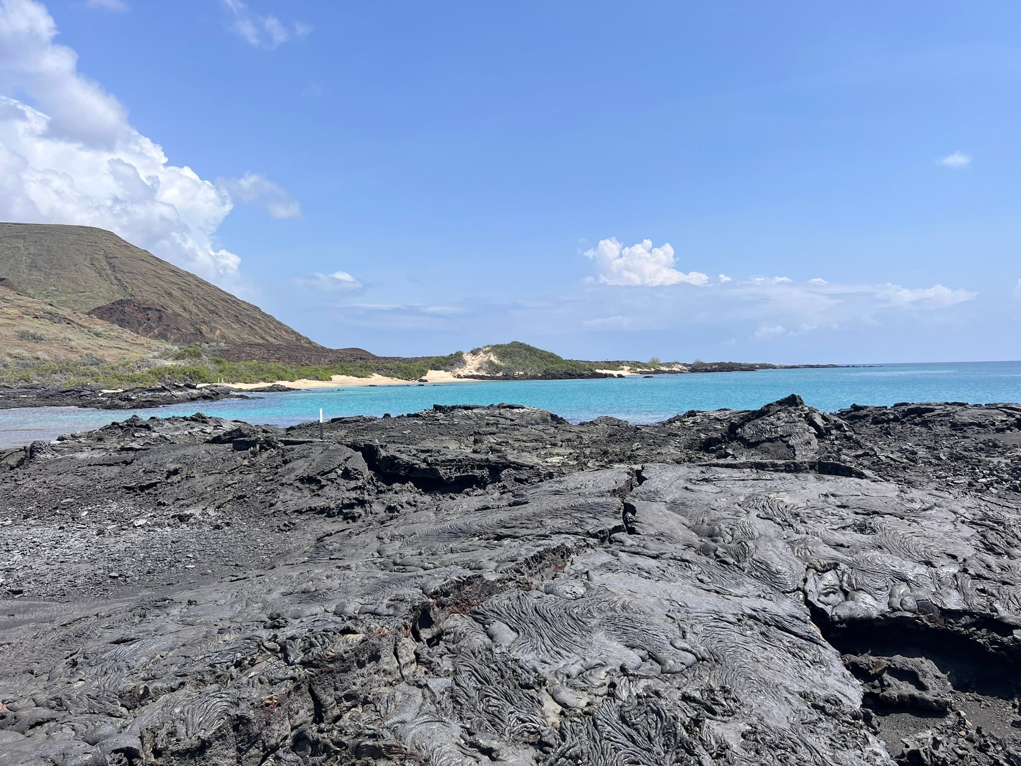 Black volcanic rock meeting turquoise water in the Galápagos