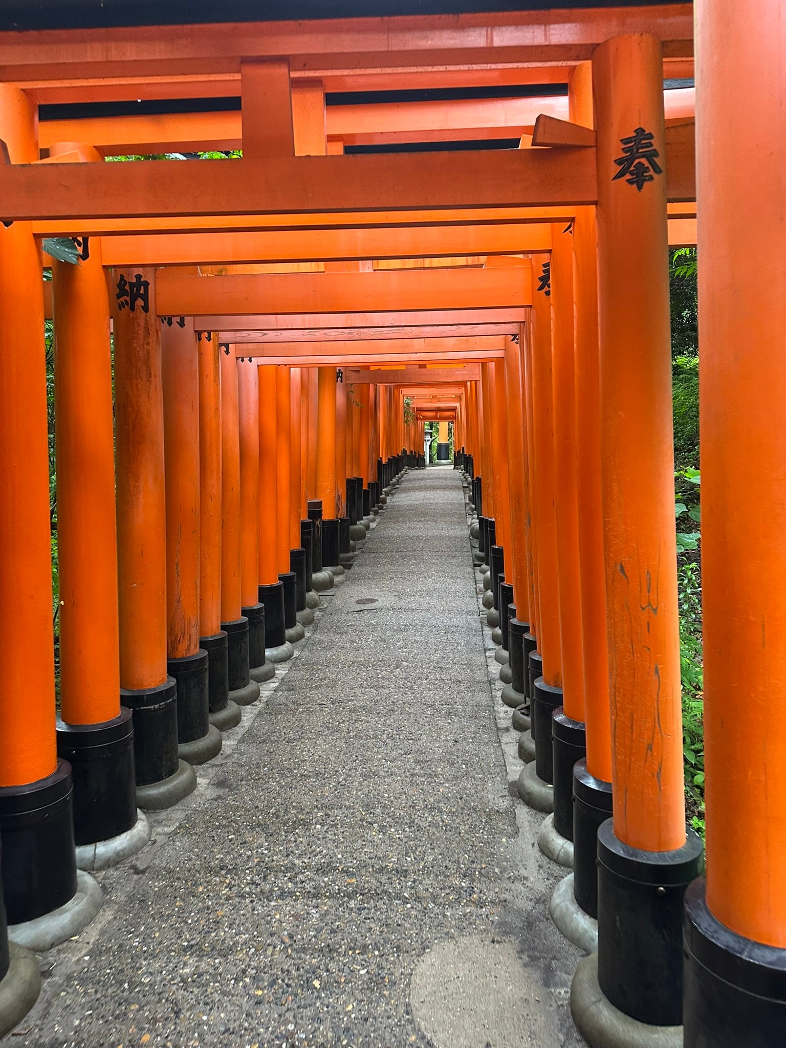 The torii gate tunnel at Fushimi Inari Shrine