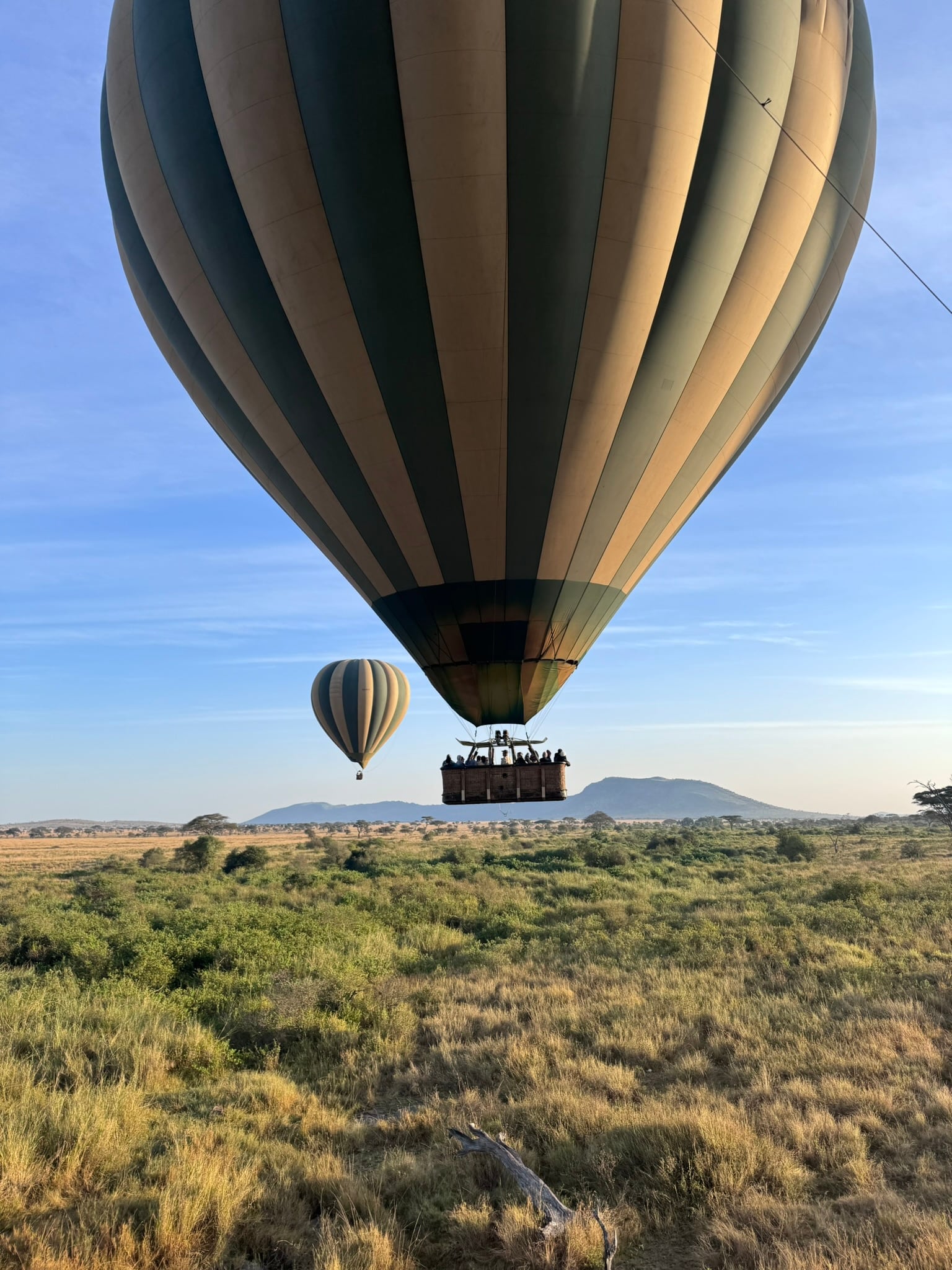 Hot air balloons at sunrise over the Serengeti