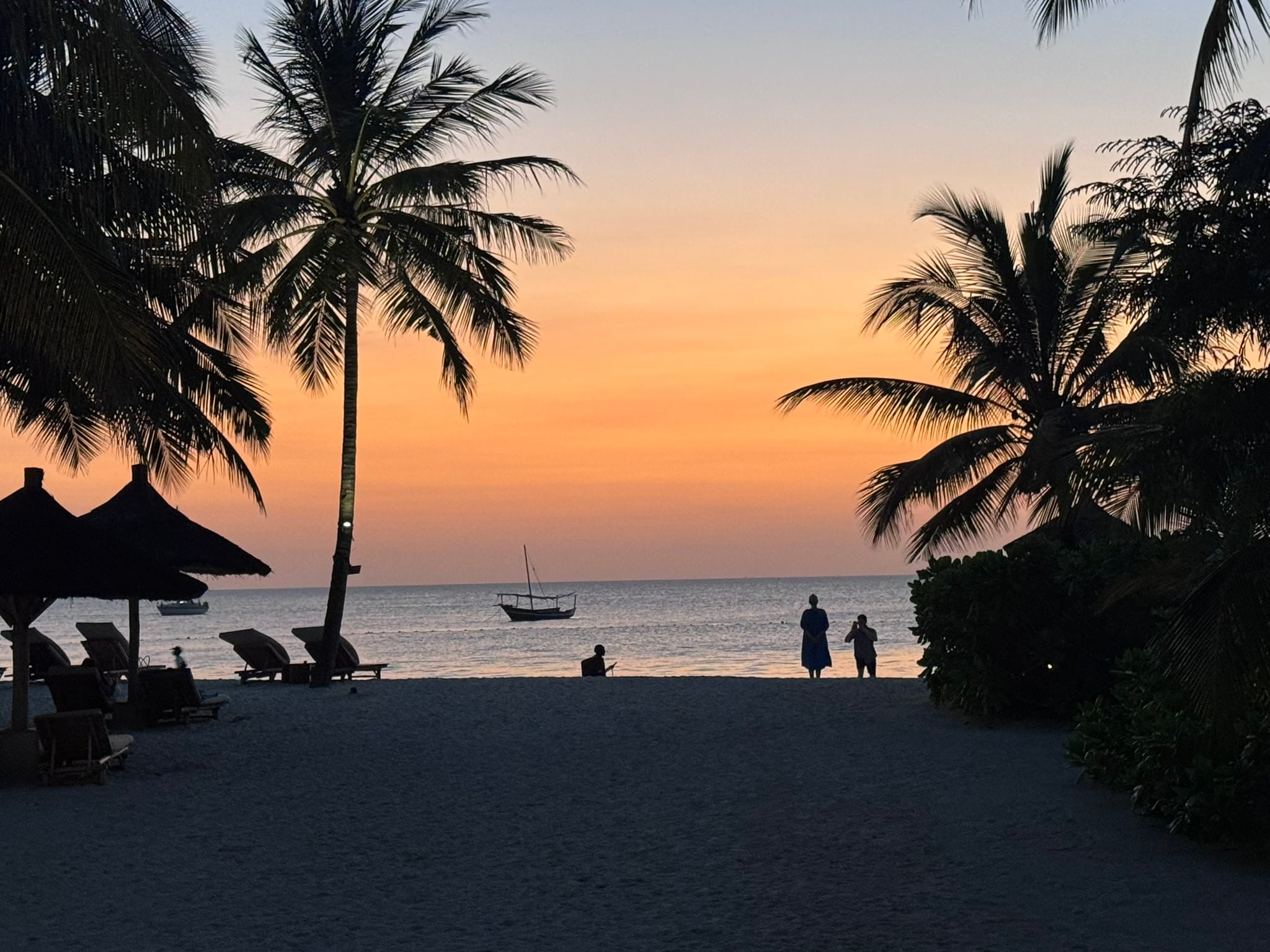 Sunset over the palms on the coast